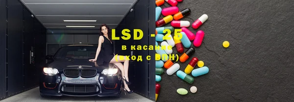 крисы Армянск