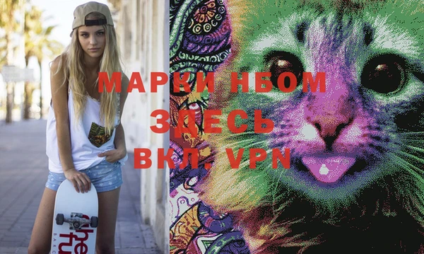 PSILOCYBIN Струнино