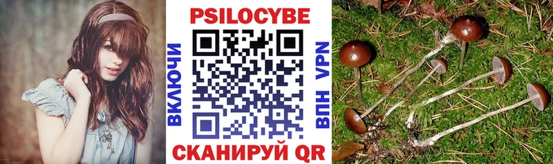 Галлюциногенные грибы мицелий  Видное 